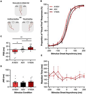 Past and present experience shifts audiovisual temporal perception in rats